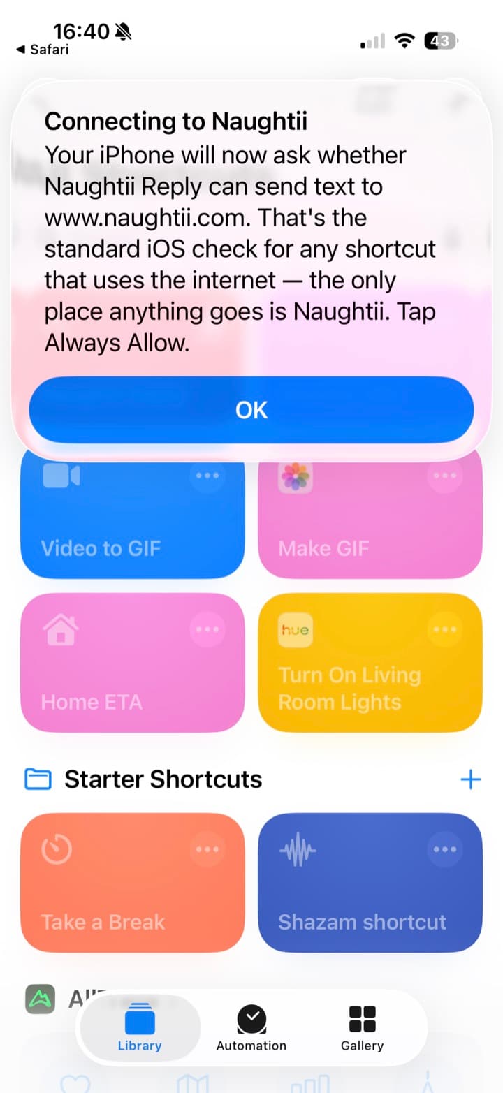 The shortcut's 'Connecting to Naughtii' alert explaining that iOS will ask whether Naughtii Reply can send text to www.naughtii.com, and to tap Always Allow.
